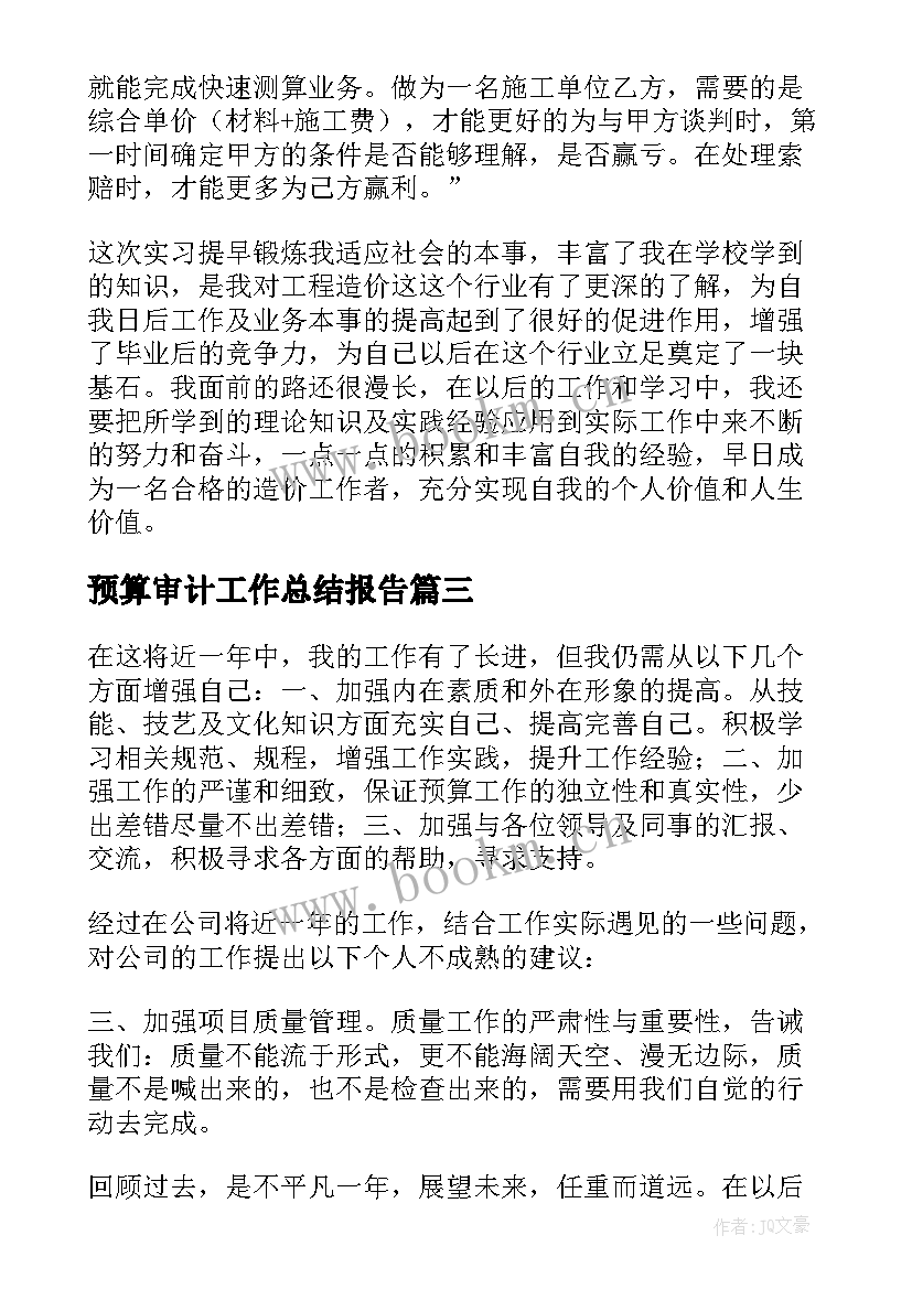 2023年预算审计工作总结报告 预算工作总结(精选10篇)