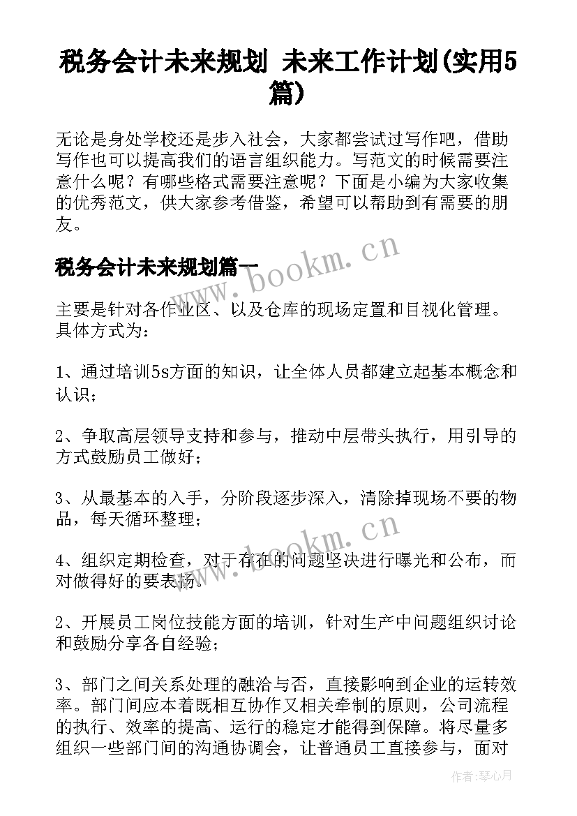 税务会计未来规划 未来工作计划(实用5篇)