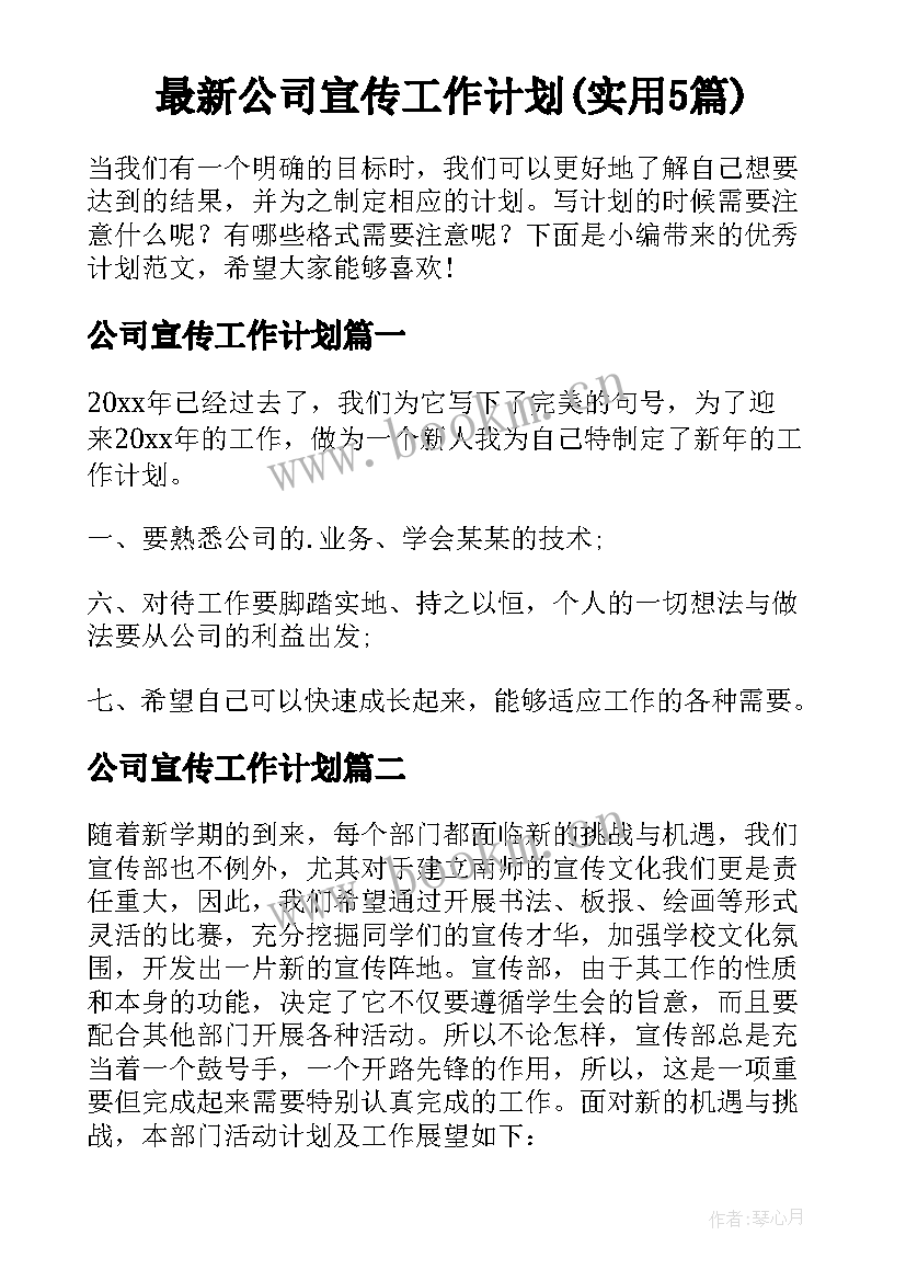 最新公司宣传工作计划(实用5篇)