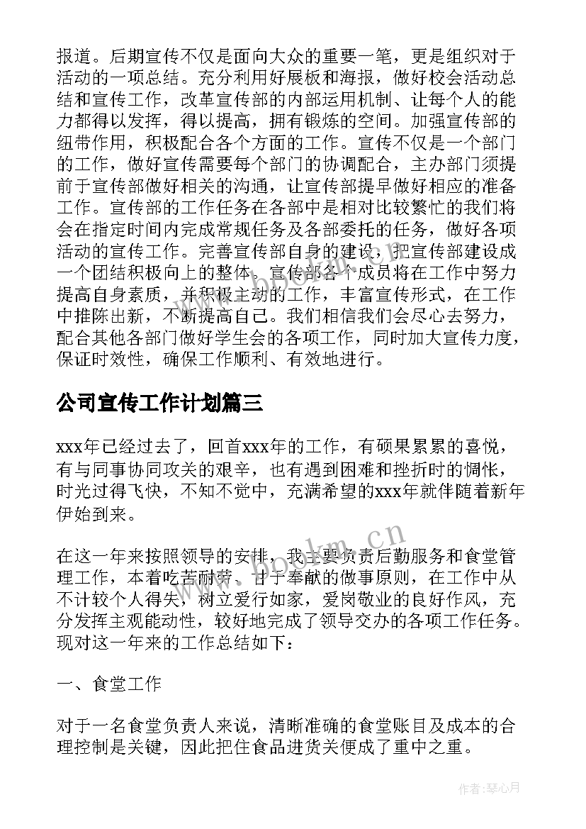 最新公司宣传工作计划(实用5篇)