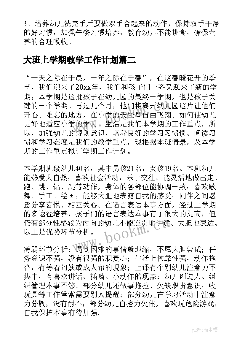 2023年大班上学期教学工作计划(优质5篇)