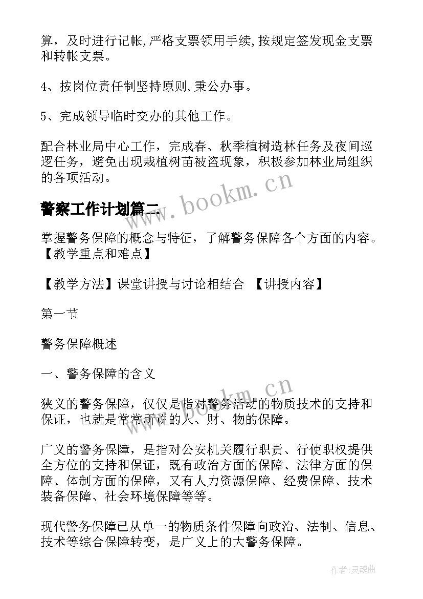 2023年警察工作计划(实用8篇)