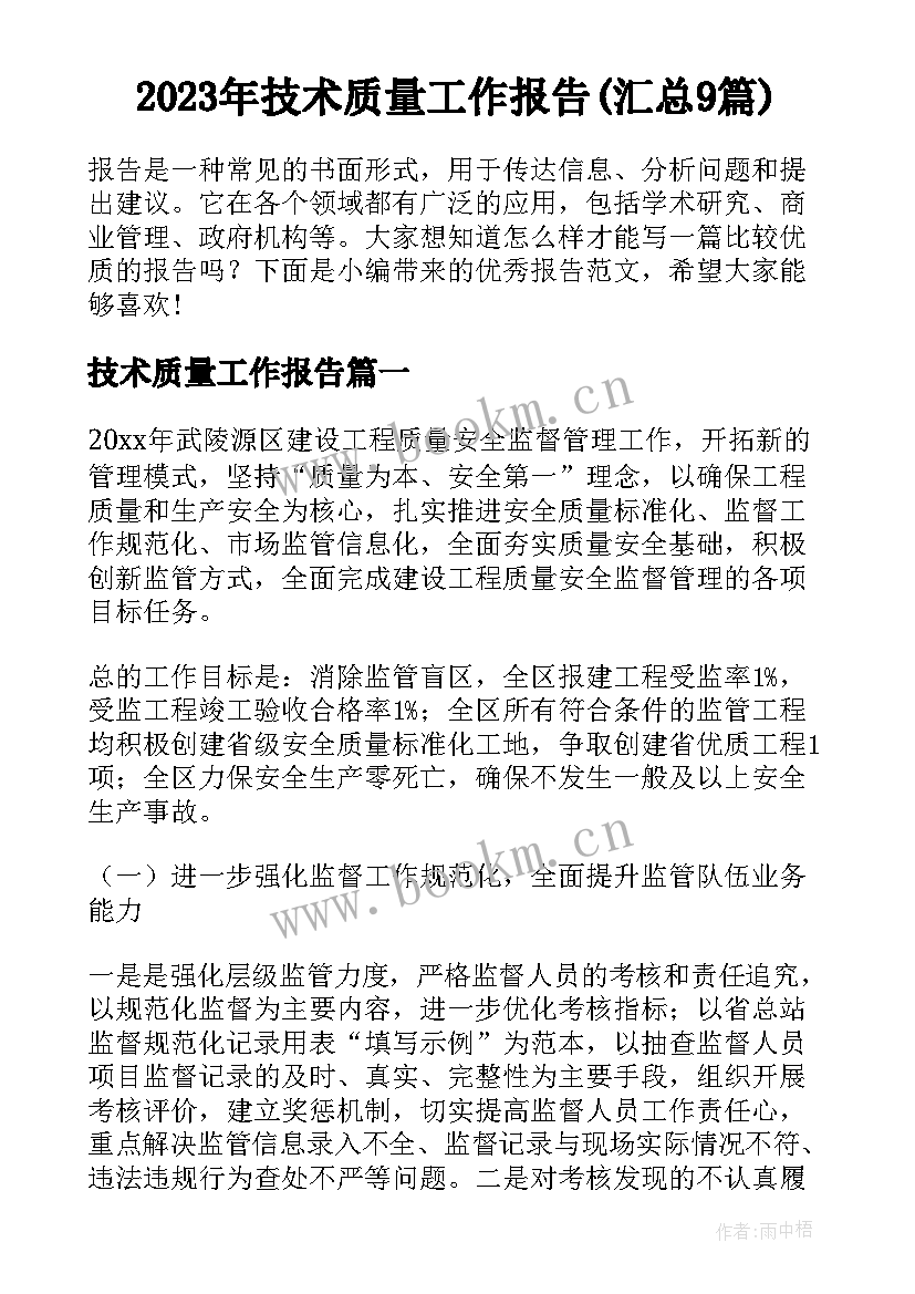 2023年技术质量工作报告(汇总9篇)