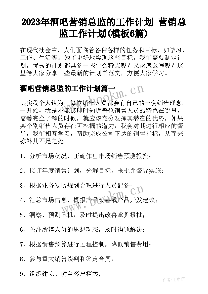 2023年酒吧营销总监的工作计划 营销总监工作计划(模板6篇)