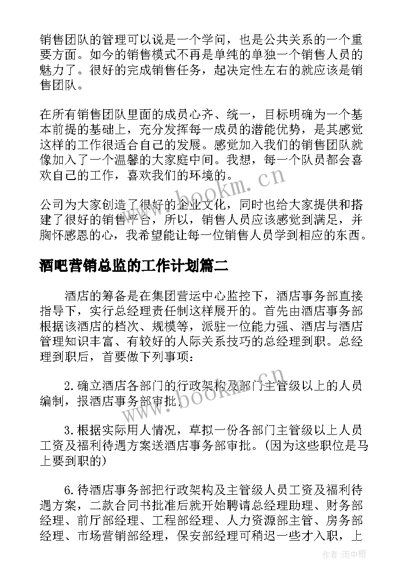 2023年酒吧营销总监的工作计划 营销总监工作计划(模板6篇)