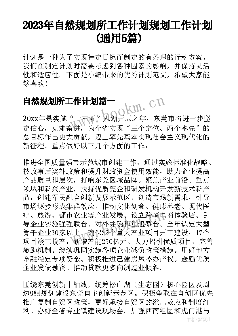 2023年自然规划所工作计划 规划工作计划(通用5篇)