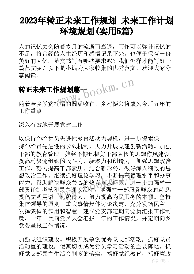 2023年转正未来工作规划 未来工作计划环境规划(实用5篇)