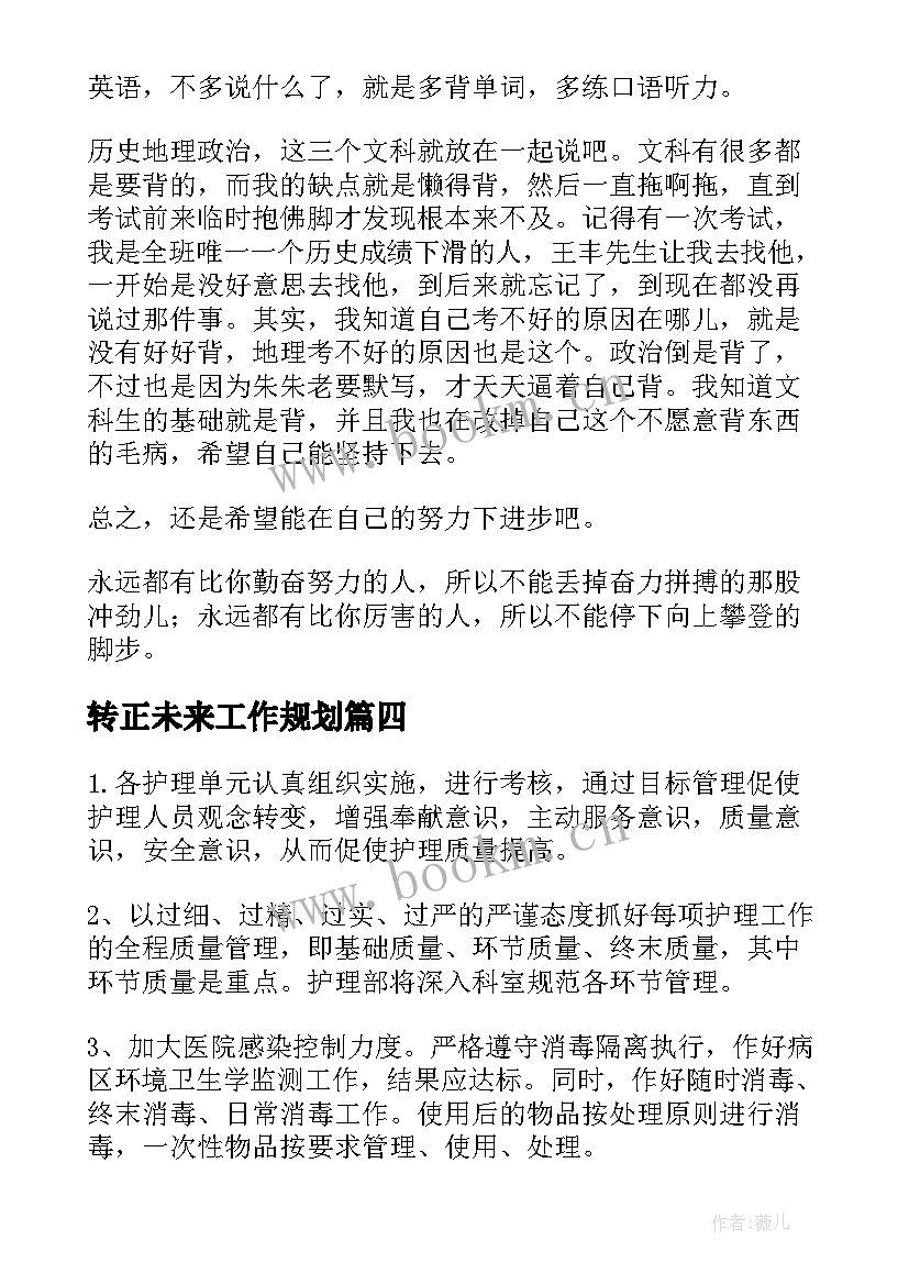 2023年转正未来工作规划 未来工作计划环境规划(实用5篇)