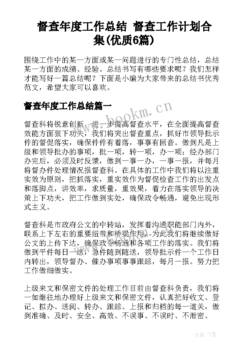 督查年度工作总结 督查工作计划合集(优质6篇)