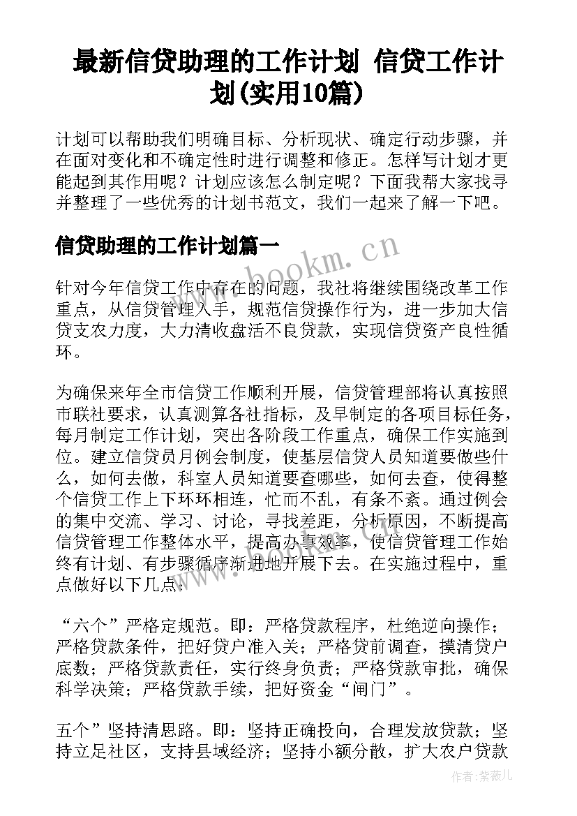 最新信贷助理的工作计划 信贷工作计划(实用10篇)