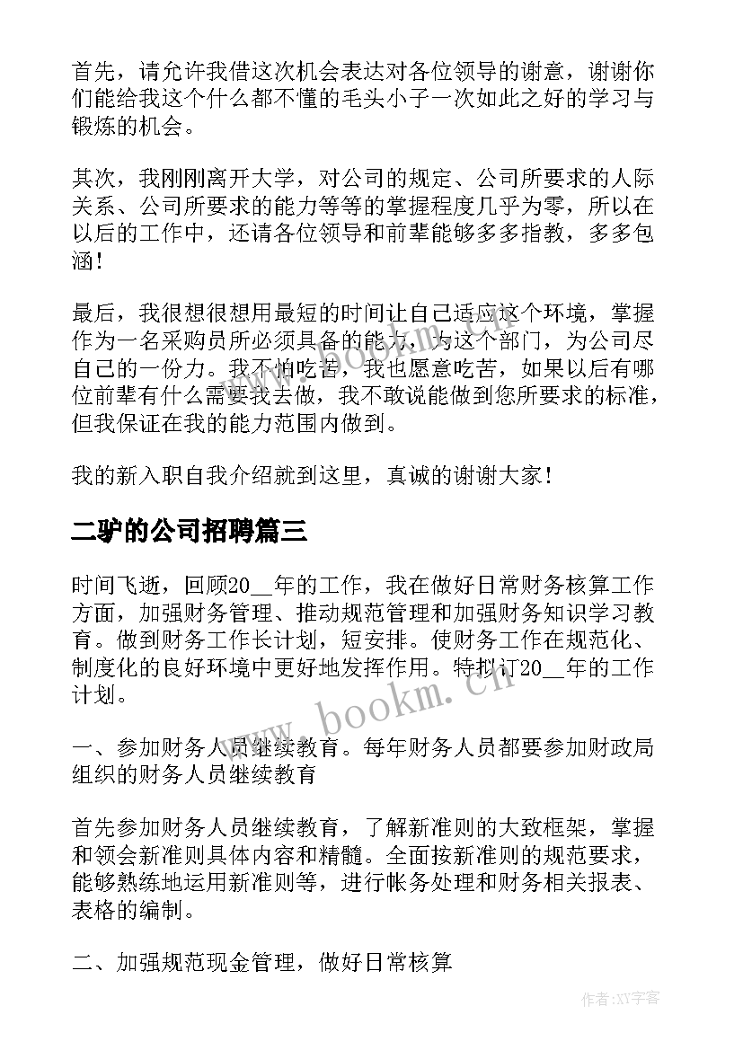 最新二驴的公司招聘 在职场工作计划(汇总5篇)