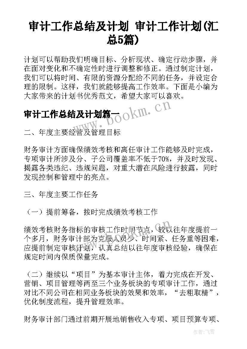 审计工作总结及计划 审计工作计划(汇总5篇)