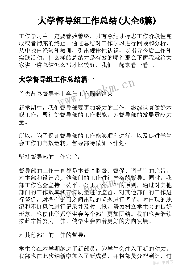 大学督导组工作总结(大全6篇)