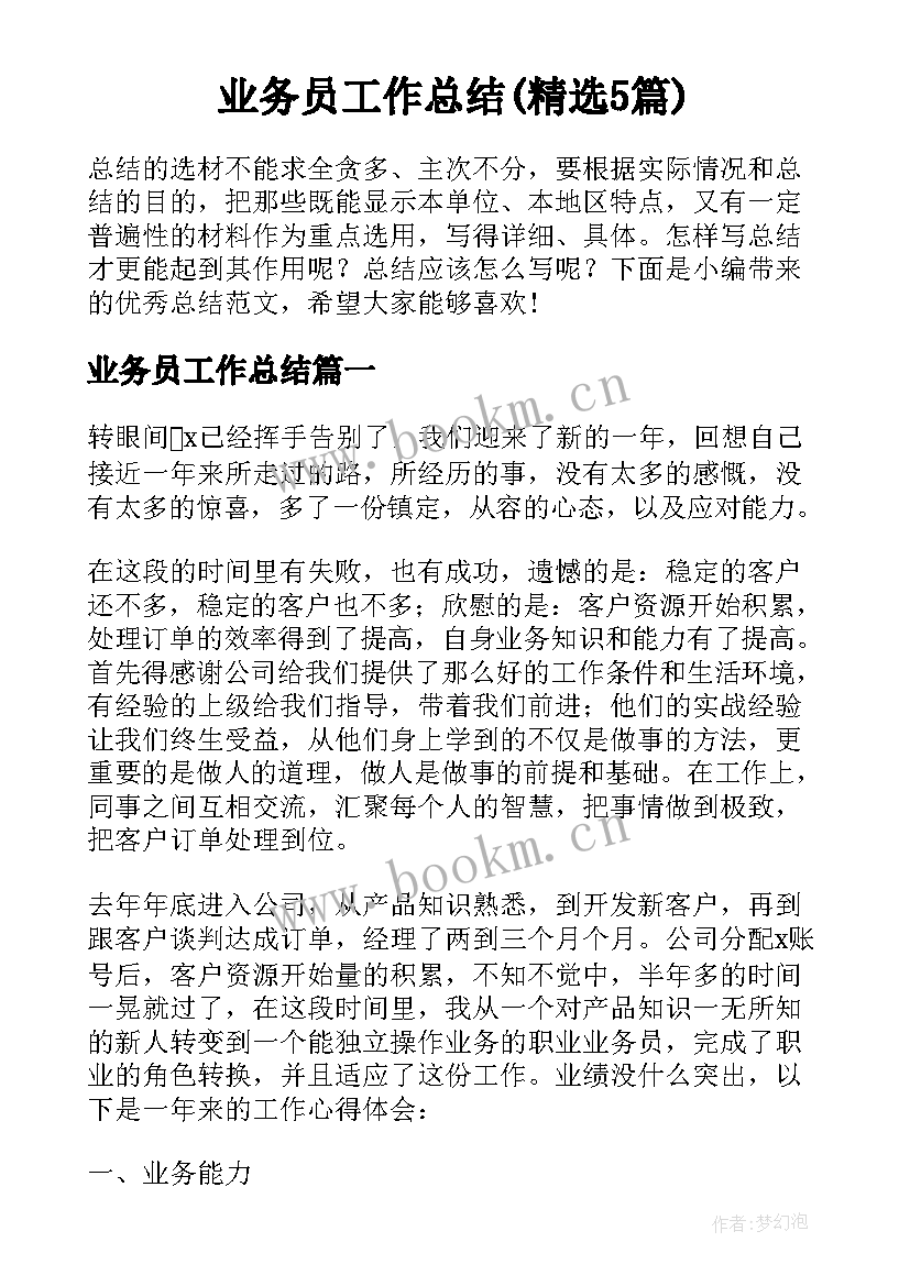 业务员工作总结(精选5篇)