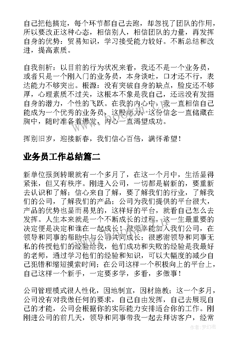 业务员工作总结(精选5篇)