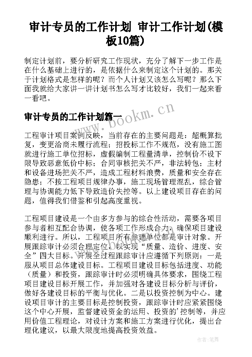 审计专员的工作计划 审计工作计划(模板10篇)