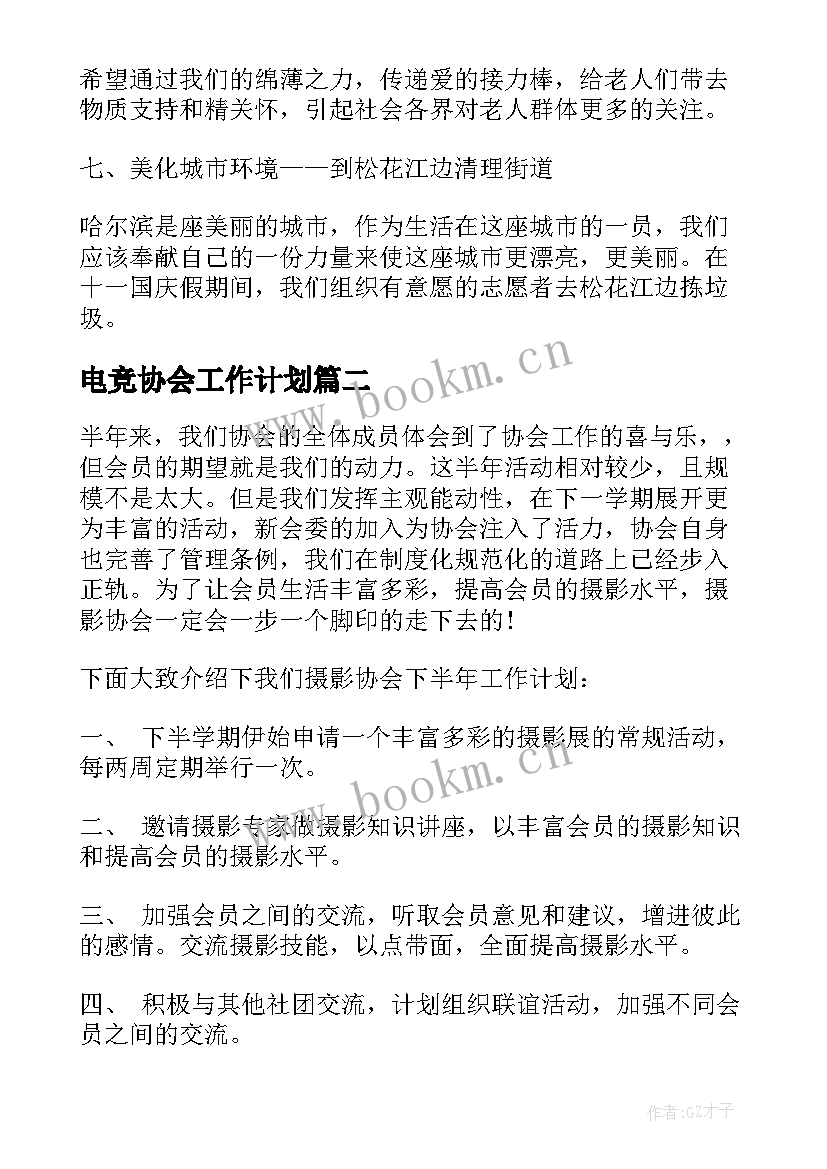 2023年电竞协会工作计划 协会工作计划(通用9篇)