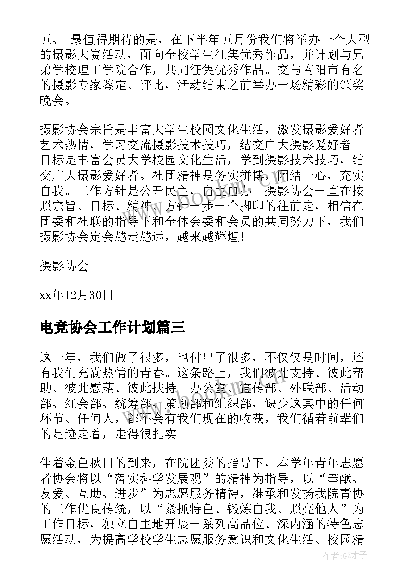 2023年电竞协会工作计划 协会工作计划(通用9篇)