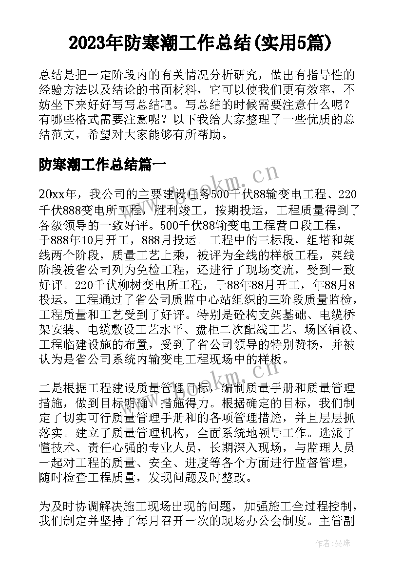 2023年防寒潮工作总结(实用5篇)