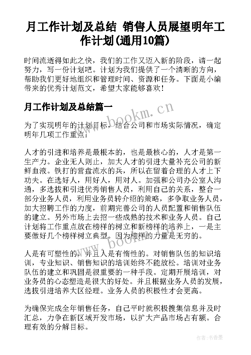 月工作计划及总结 销售人员展望明年工作计划(通用10篇)