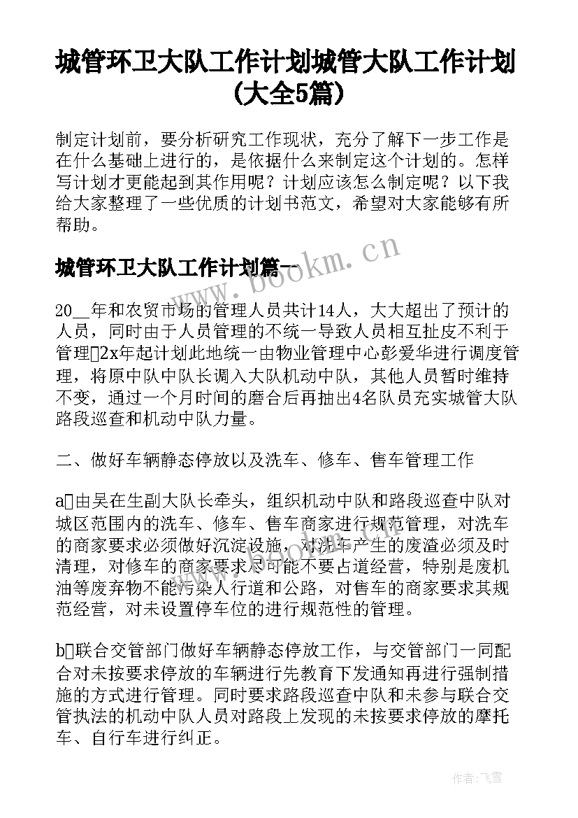 城管环卫大队工作计划 城管大队工作计划(大全5篇)