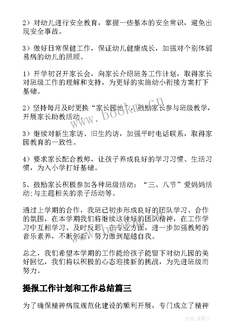 2023年提报工作计划和工作总结(汇总7篇)