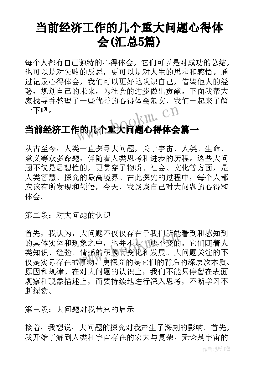 当前经济工作的几个重大问题心得体会(汇总5篇)