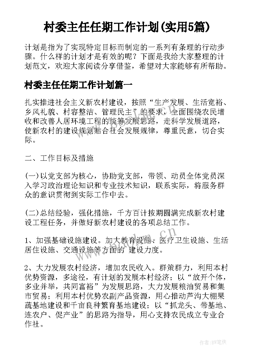 村委主任任期工作计划(实用5篇)