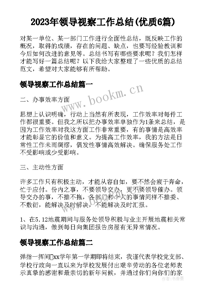 2023年领导视察工作总结(优质6篇)