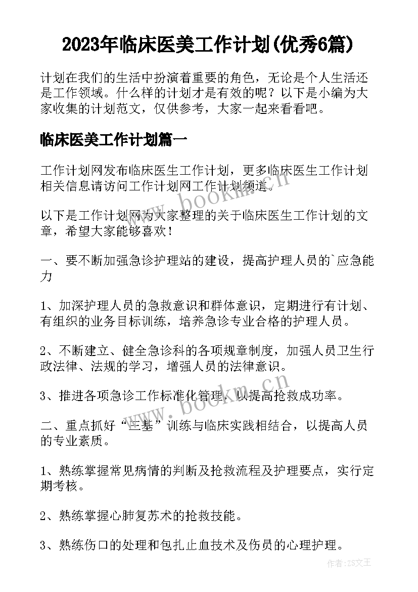 2023年临床医美工作计划(优秀6篇)