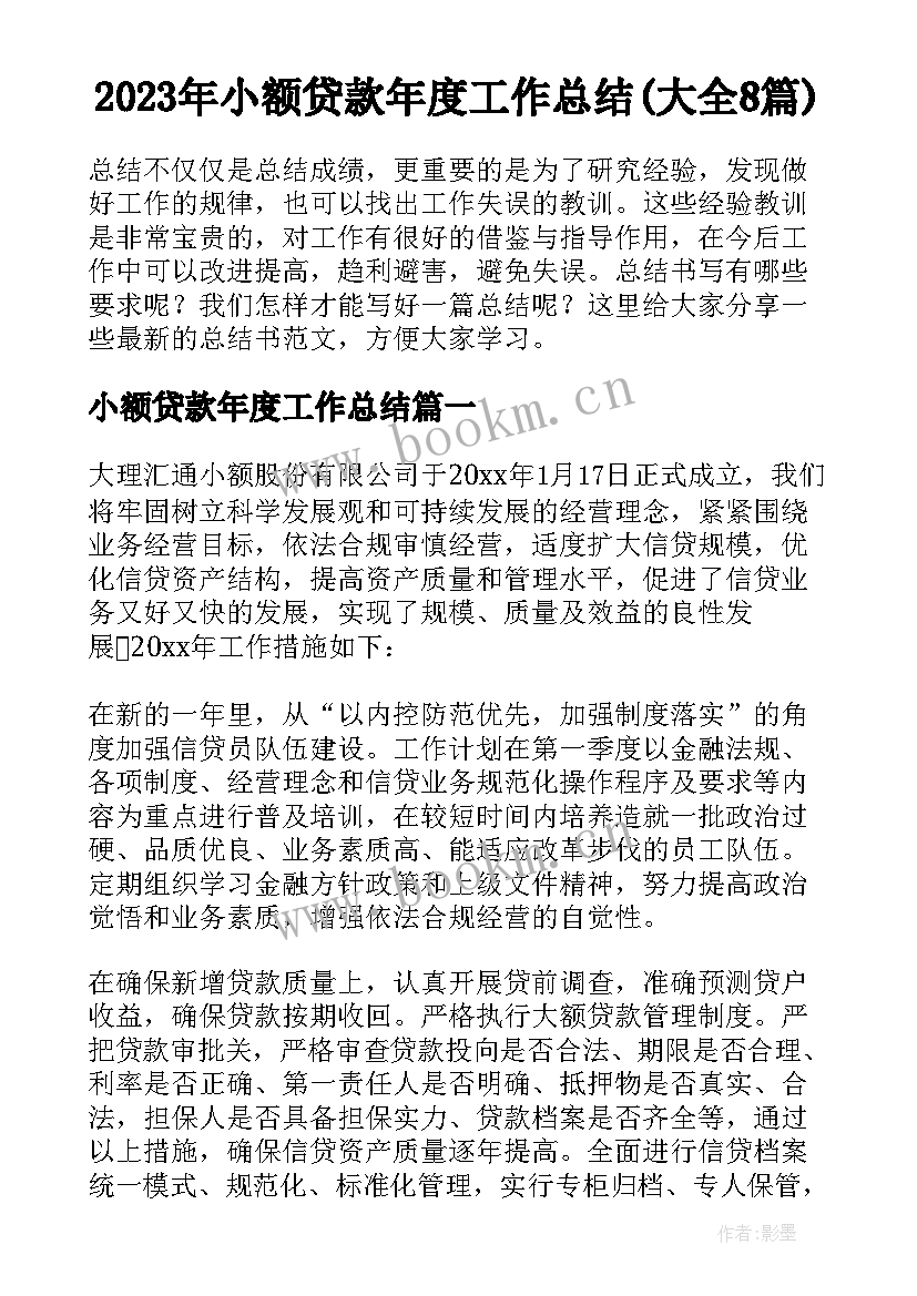 2023年小额贷款年度工作总结(大全8篇)