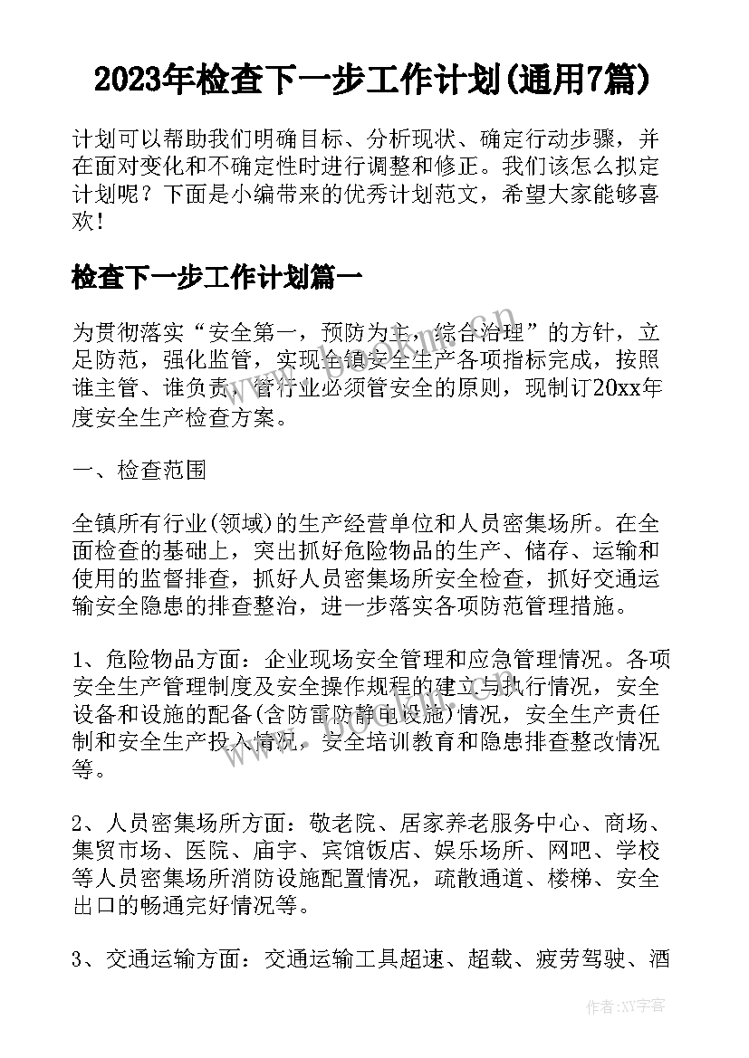 2023年检查下一步工作计划(通用7篇)