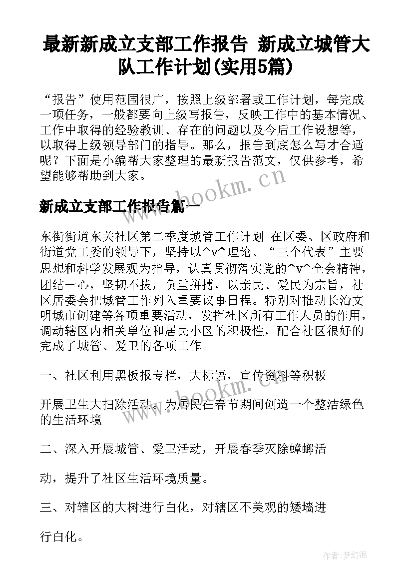 最新新成立支部工作报告 新成立城管大队工作计划(实用5篇)