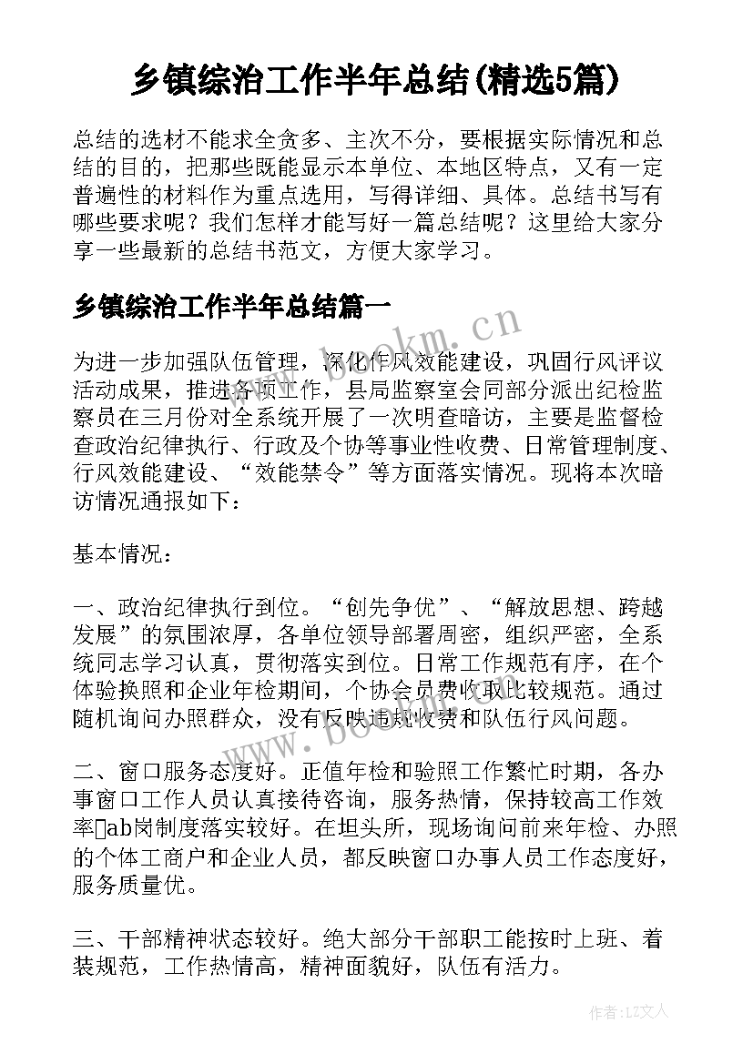 乡镇综治工作半年总结(精选5篇)