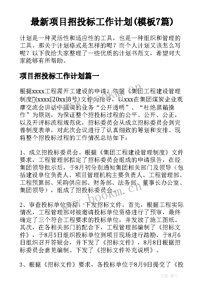 最新项目招投标工作计划(模板7篇)