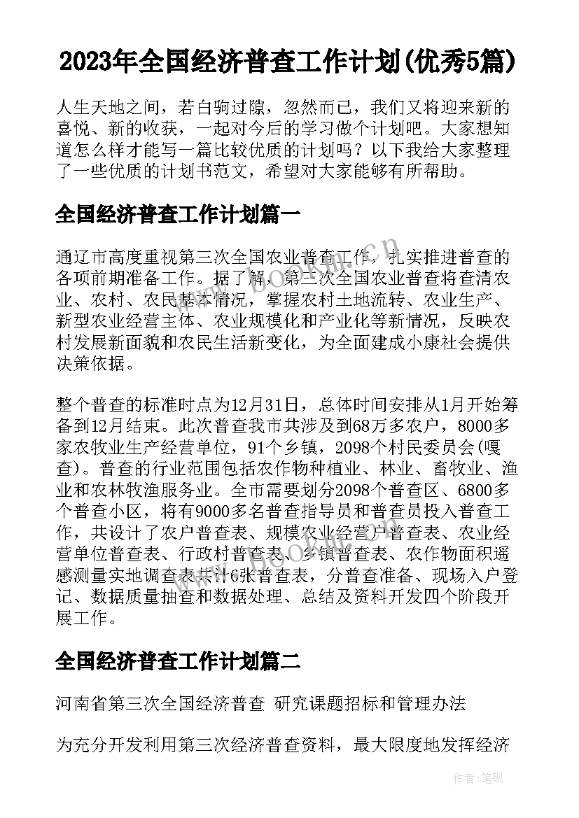 2023年全国经济普查工作计划(优秀5篇)