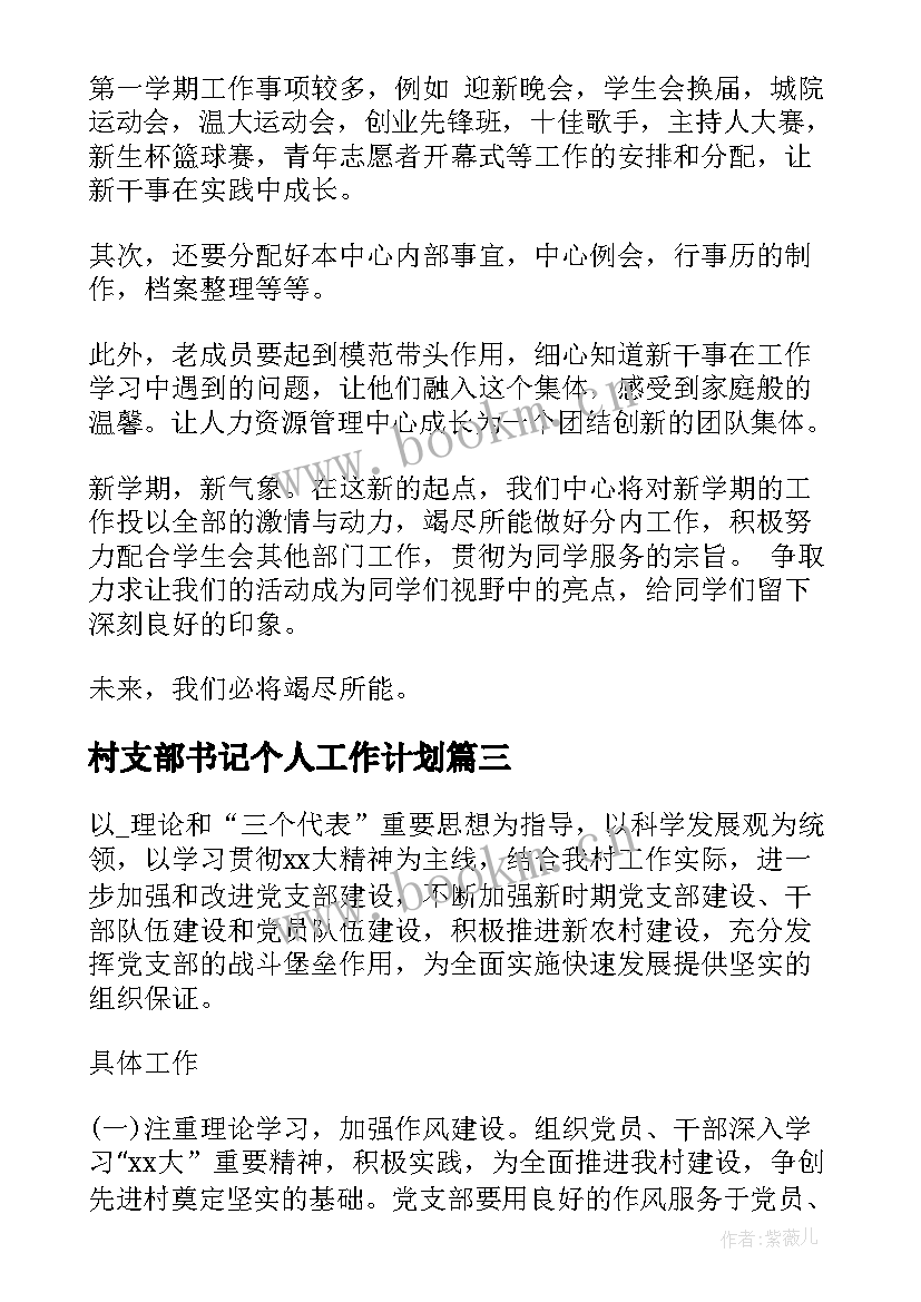 村支部书记个人工作计划 社区干部工作计划(大全5篇)