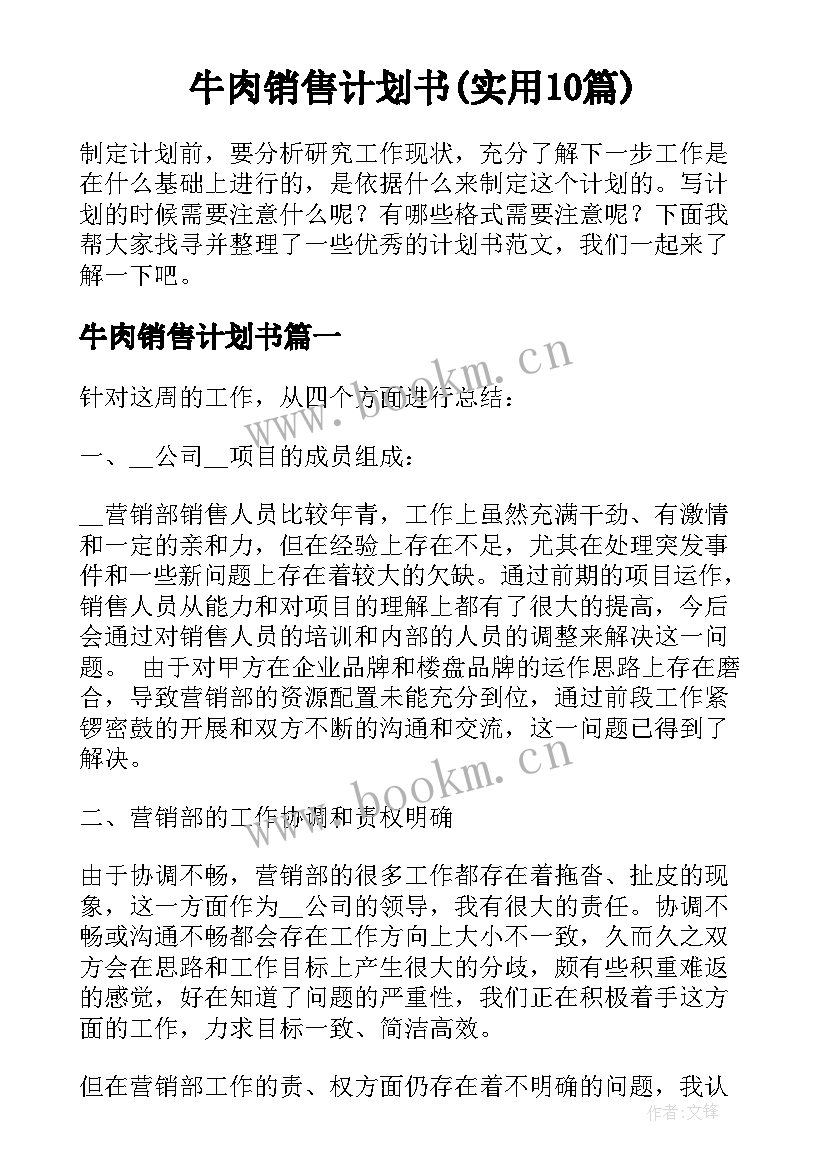 牛肉销售计划书(实用10篇)