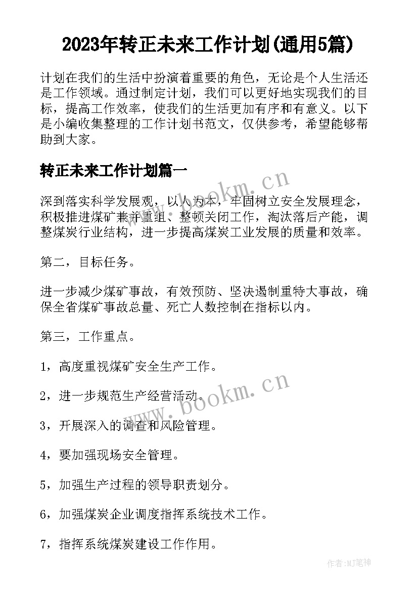 2023年转正未来工作计划(通用5篇)