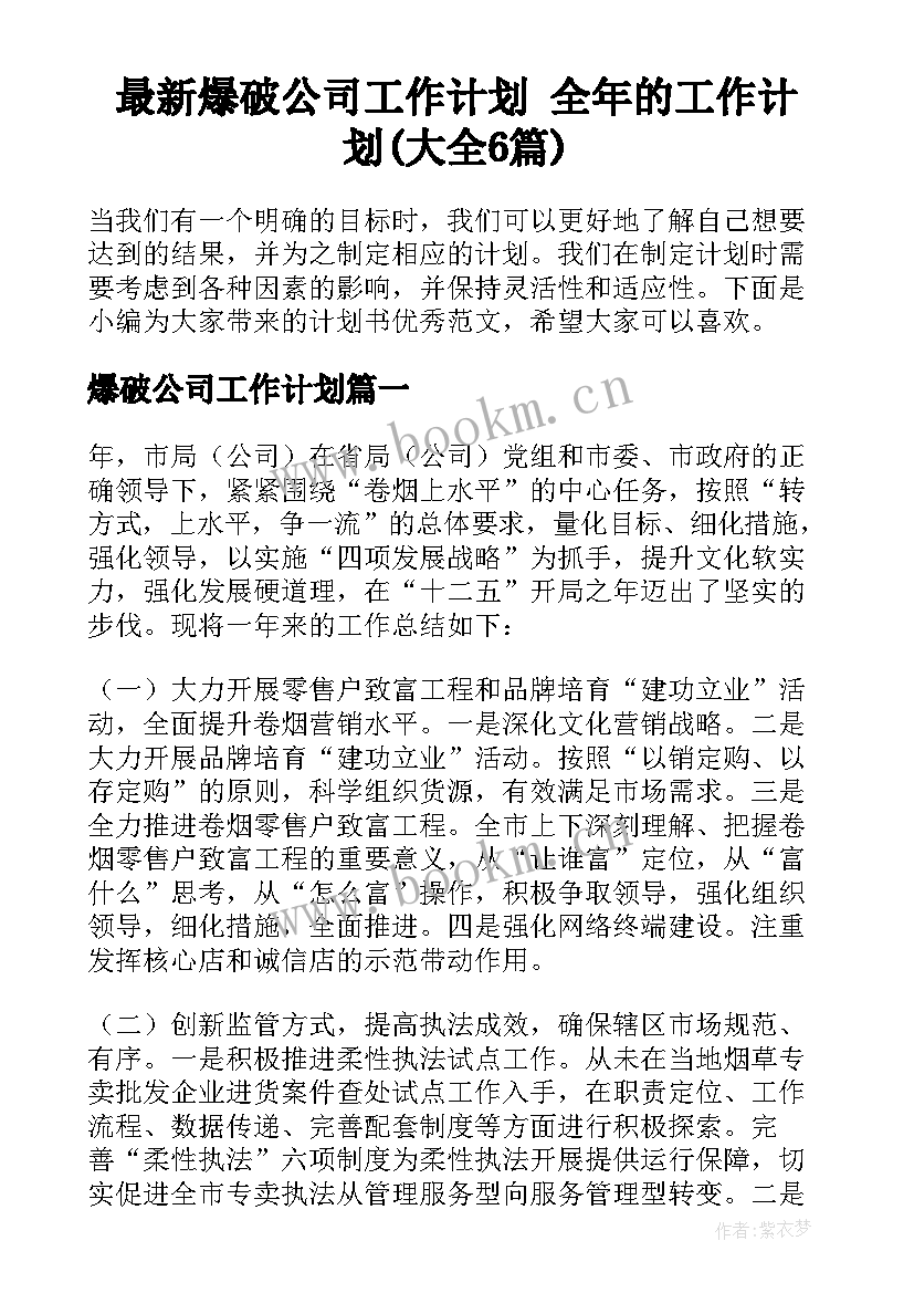 最新爆破公司工作计划 全年的工作计划(大全6篇)