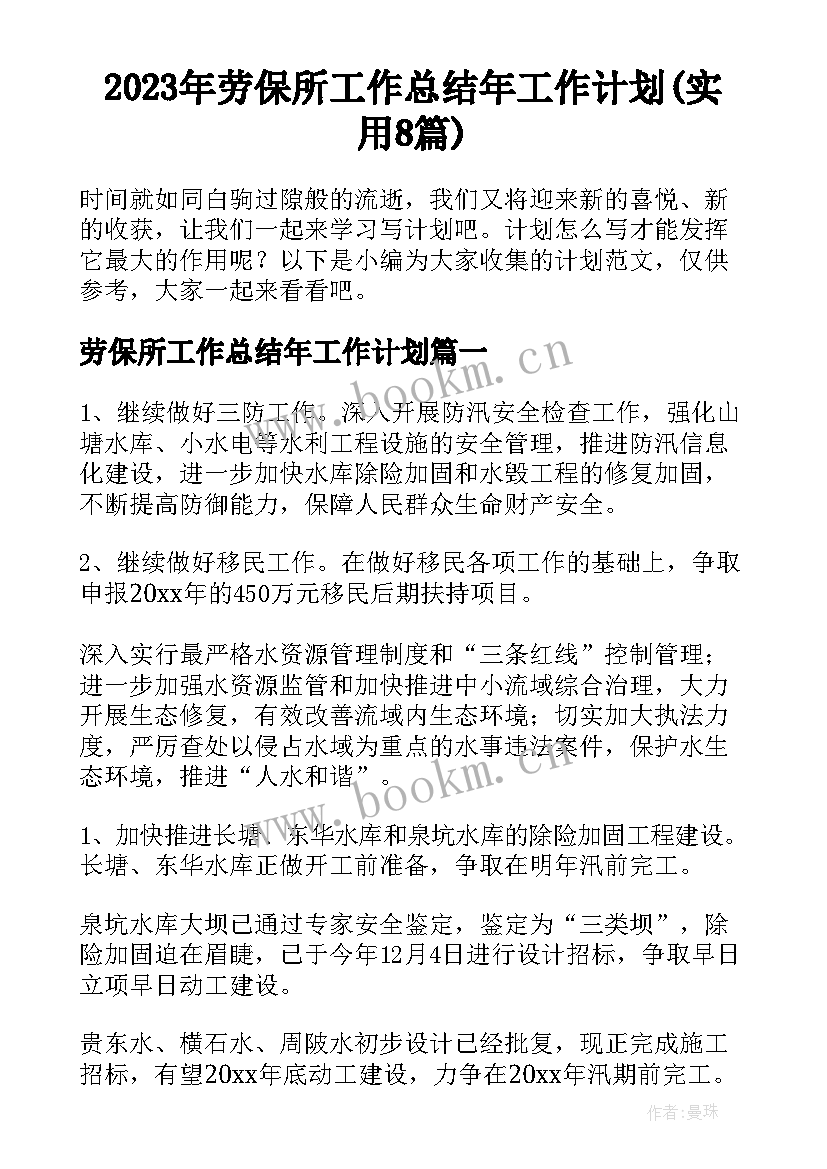 2023年劳保所工作总结年工作计划(实用8篇)