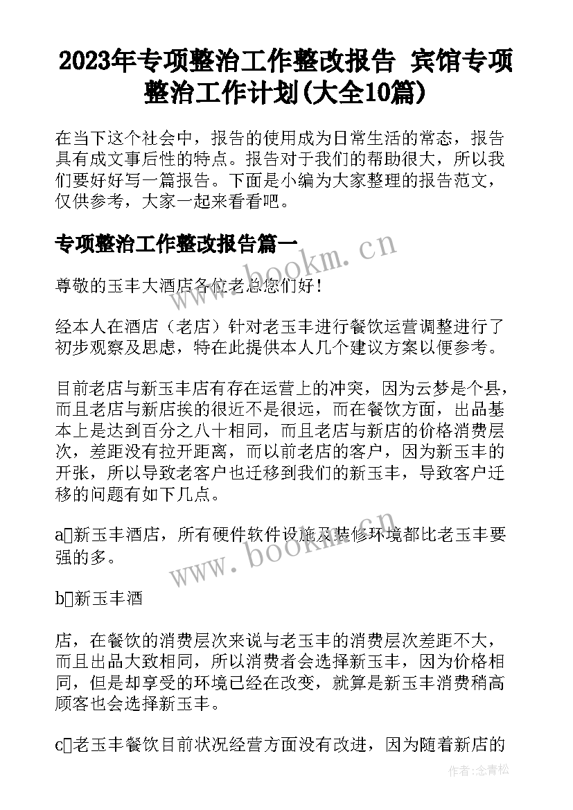 2023年专项整治工作整改报告 宾馆专项整治工作计划(大全10篇)