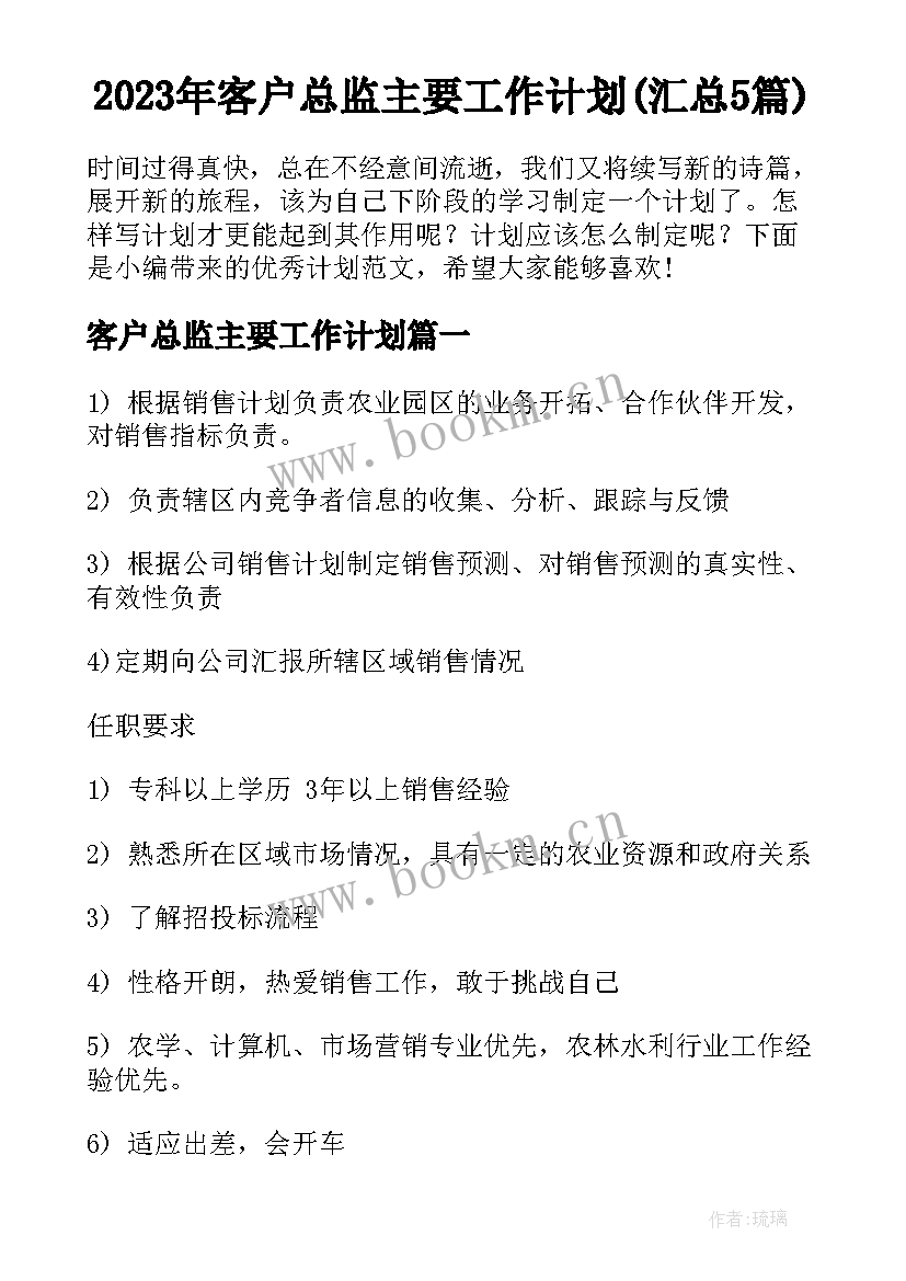 2023年客户总监主要工作计划(汇总5篇)