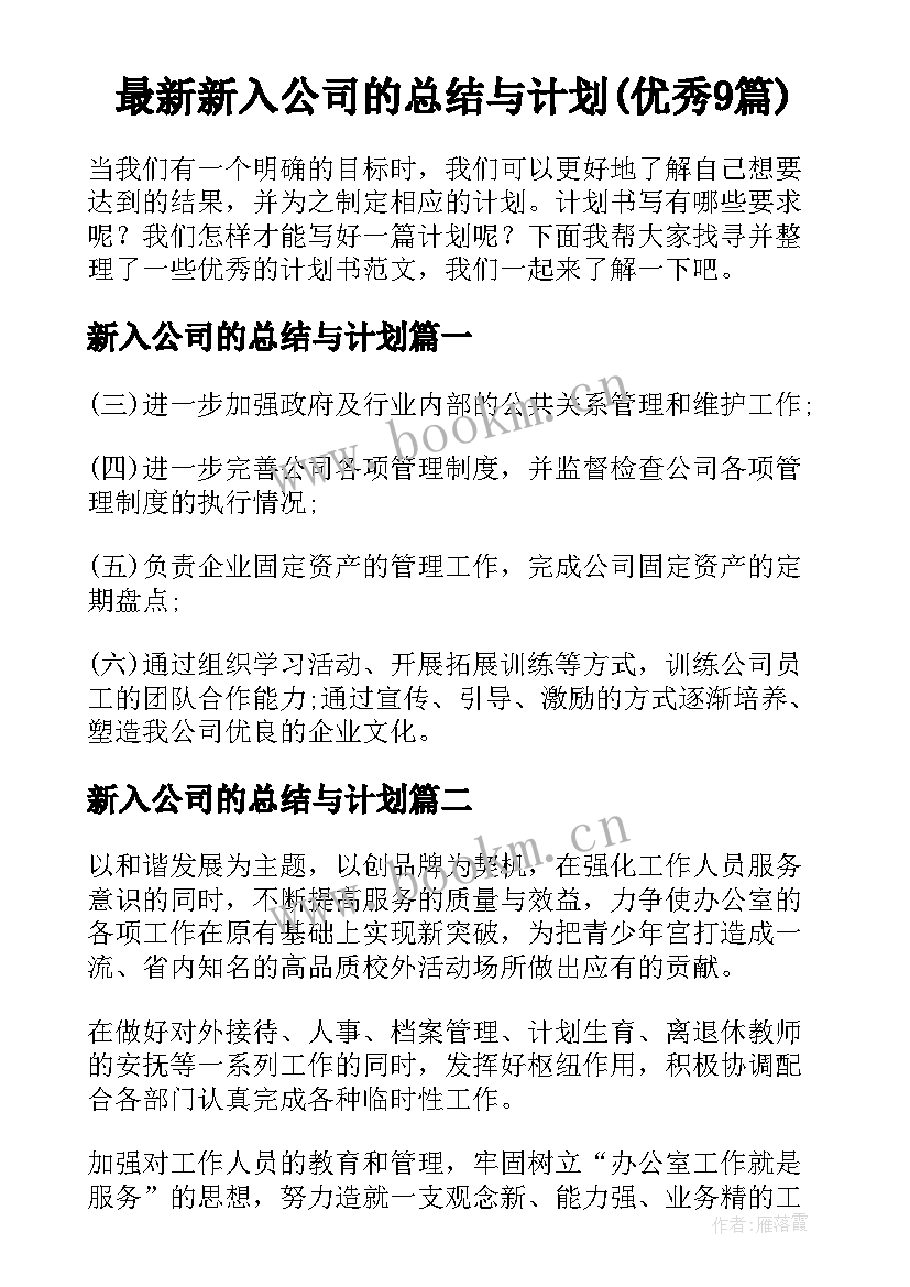 最新新入公司的总结与计划(优秀9篇)