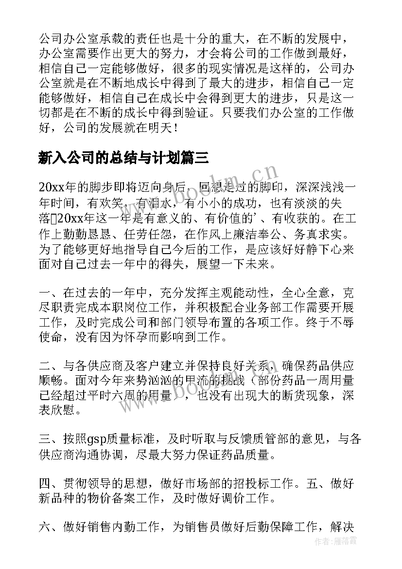 最新新入公司的总结与计划(优秀9篇)