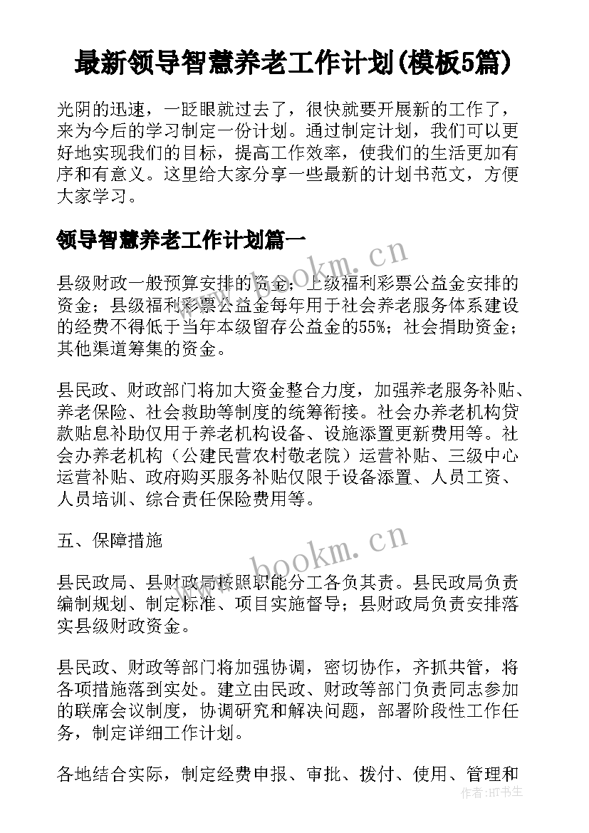 最新领导智慧养老工作计划(模板5篇)