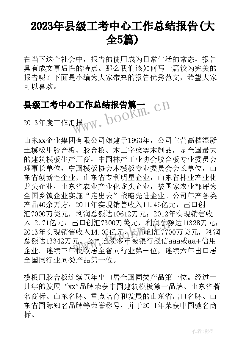 2023年县级工考中心工作总结报告(大全5篇)