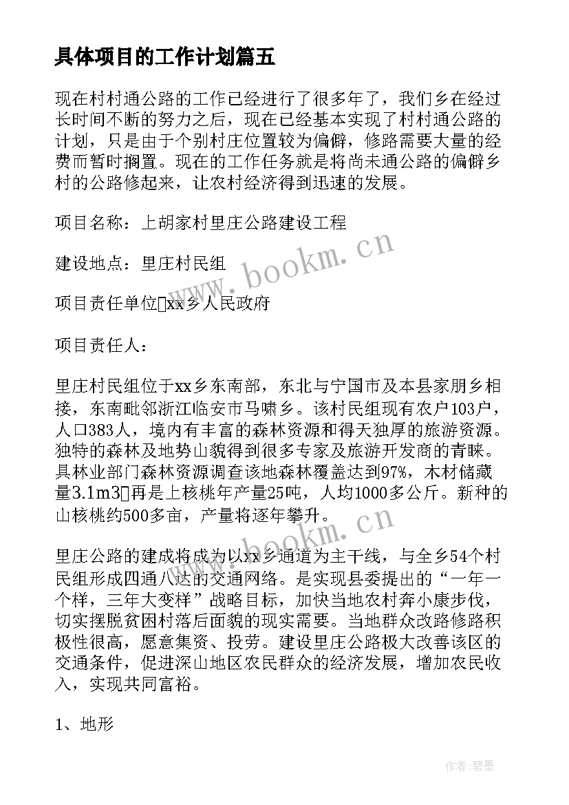 2023年具体项目的工作计划 项目的工作计划(精选5篇)