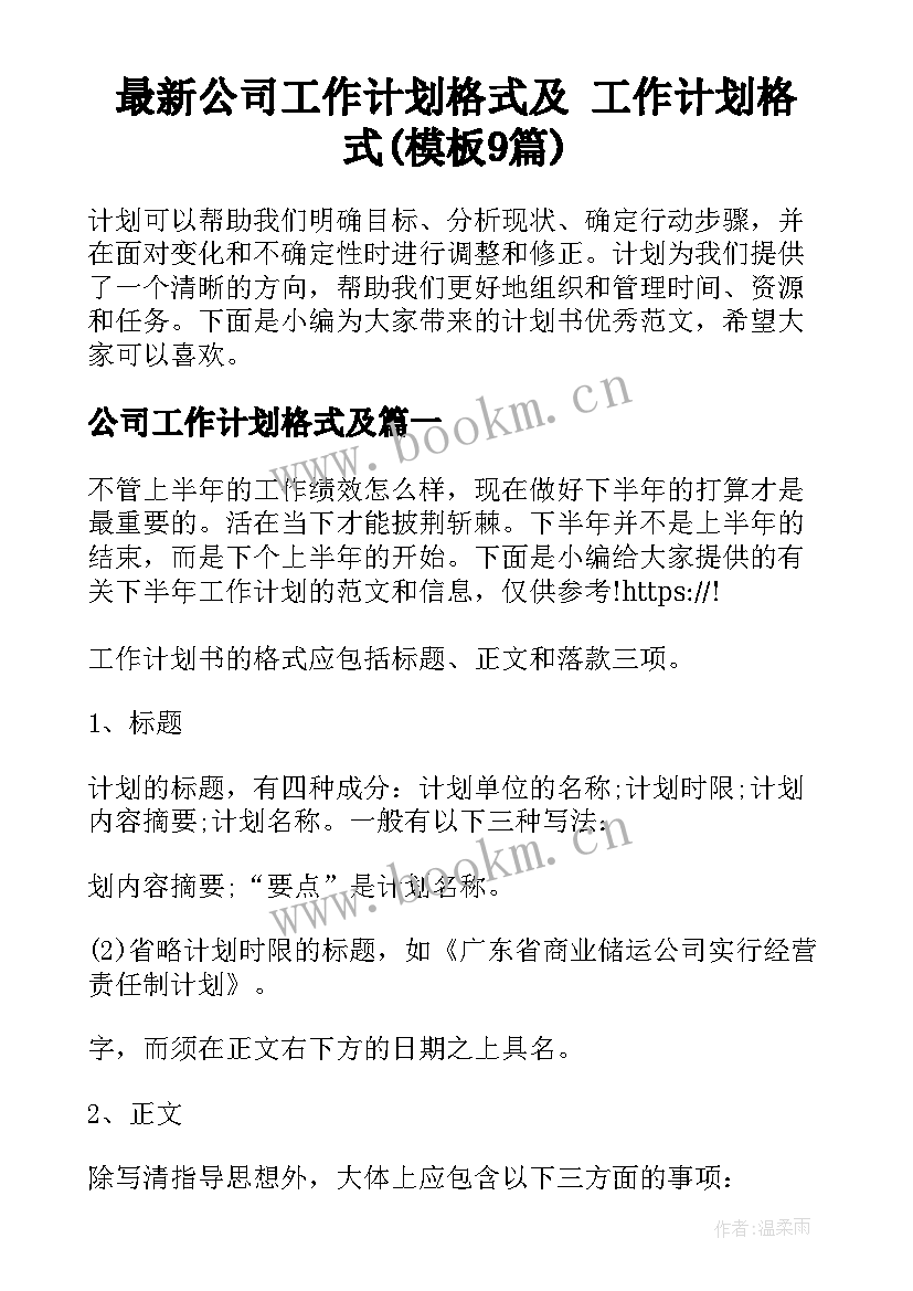 最新公司工作计划格式及 工作计划格式(模板9篇)