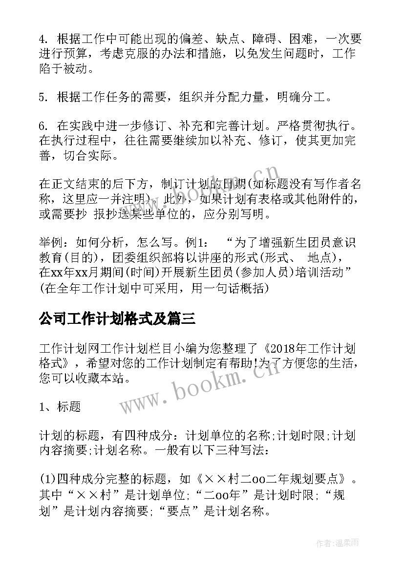 最新公司工作计划格式及 工作计划格式(模板9篇)